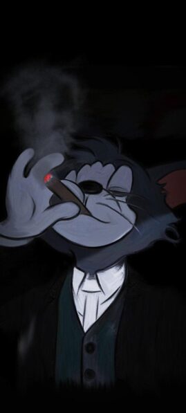 asdfvdcs